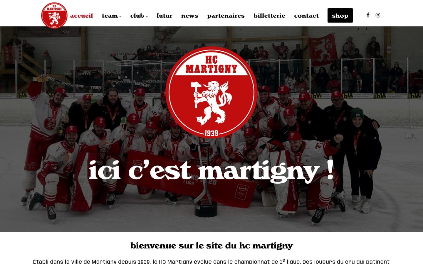 Aperçu du projet HC Martigny