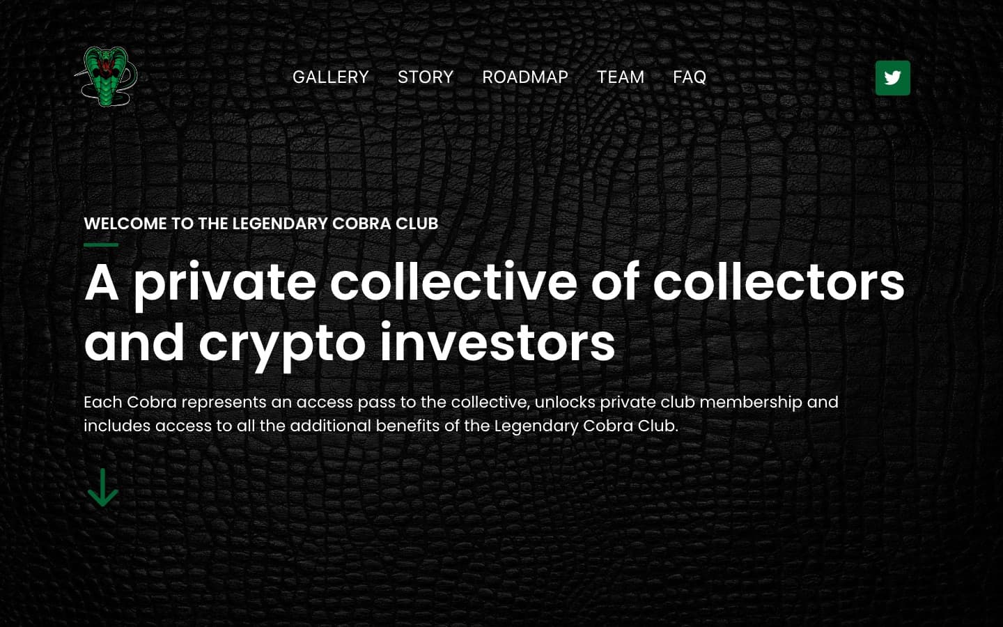 Aperçu du projet Legendary Cobra Club