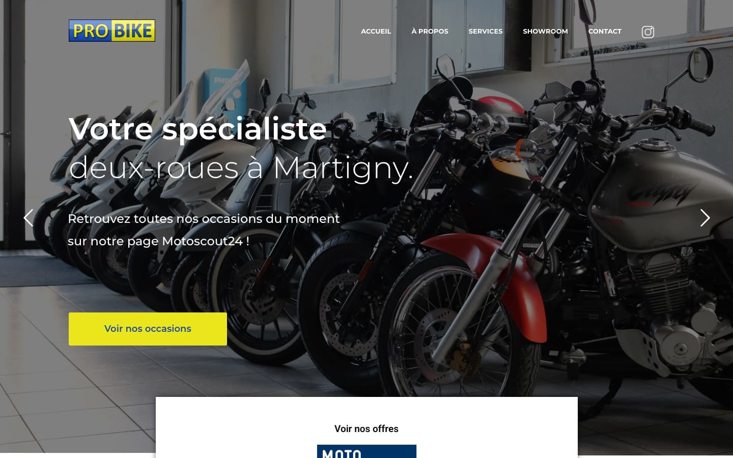 Aperçu du projet Probike Del-car