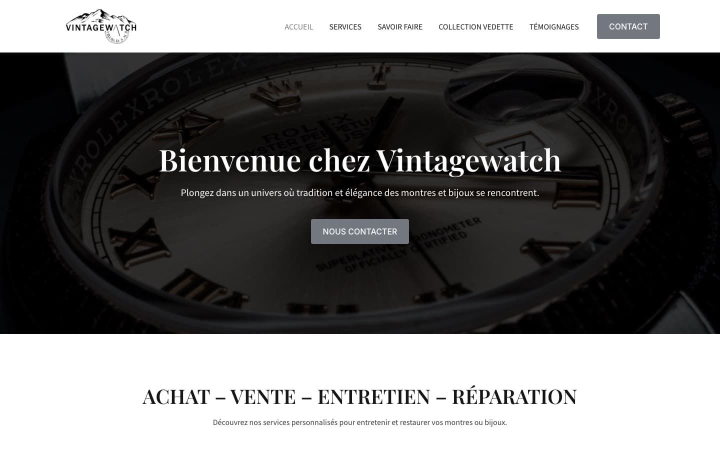 Aperçu du projet Vintagewatch VS